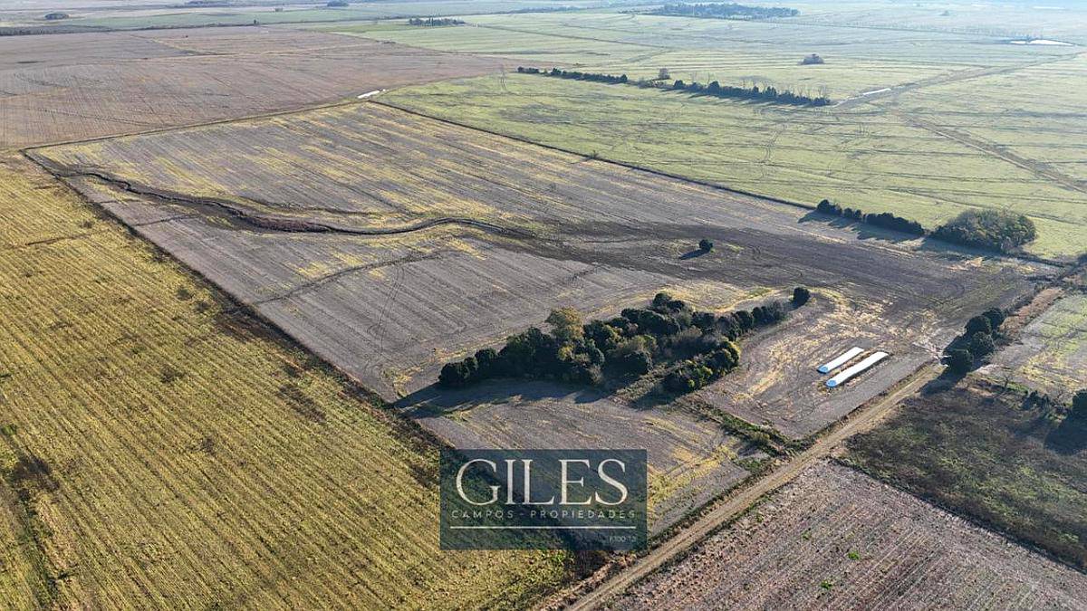 30 Hectáreas Agrícola Baradero Portela