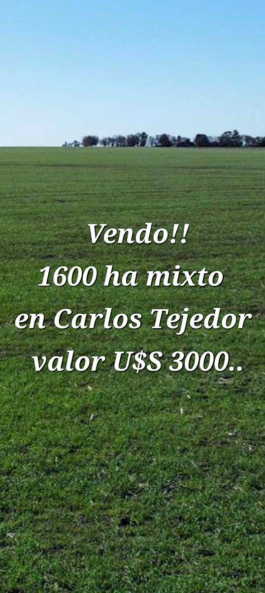 Carlos Tejedor Provincia de Buenos Aires