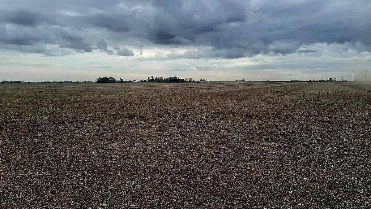 20 Has Agrícolas Pergamino