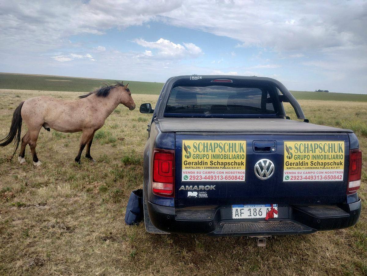 280ha en Venta en Torquints BS AS