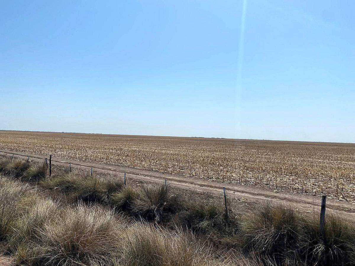 Se Alquilan 2000 Hectareas Santa FE