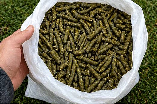 Pellet de Alfalfa en Bolsa - Lasna Insumos - MÍN 28 TN