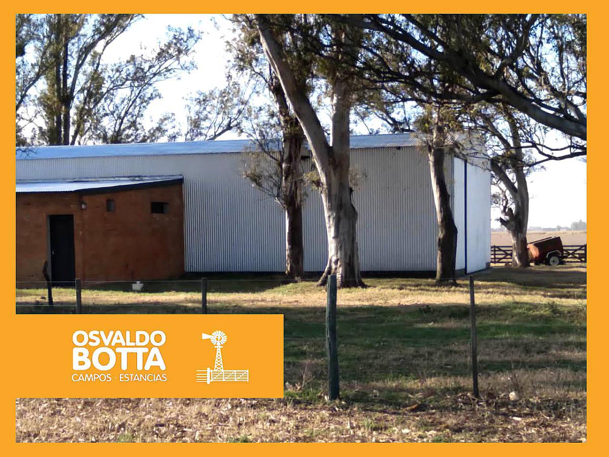 450 Hectáreas en Lincoln, Provincia de Buenos Aires