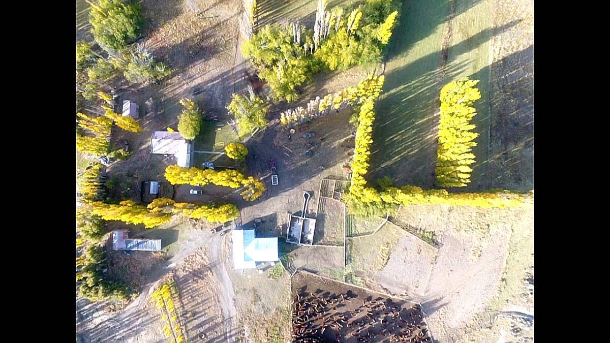 Campo Sobre Ruta N°40