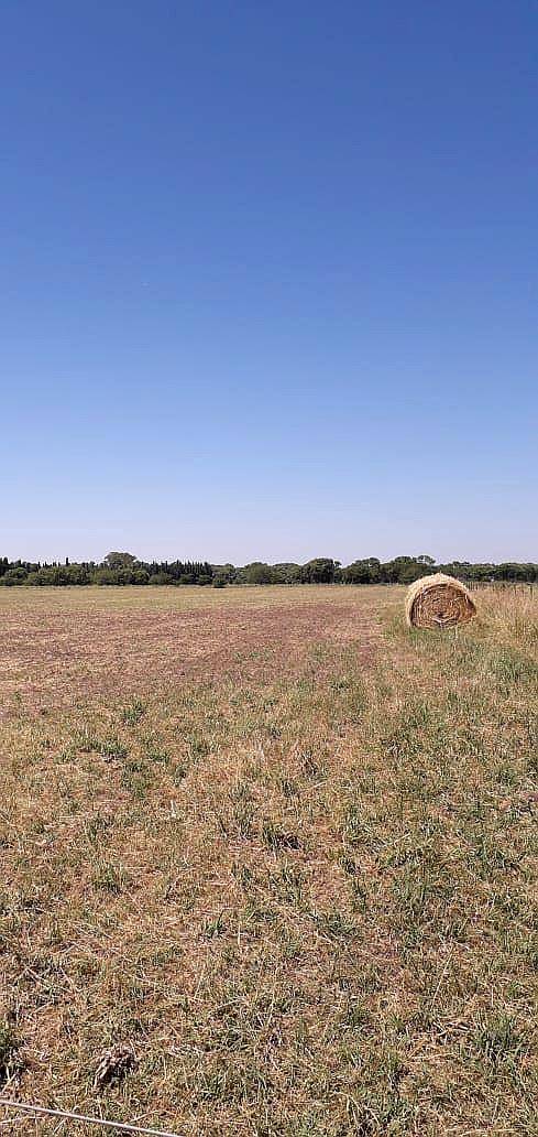 Vendo Predio de 9ha en Vedia