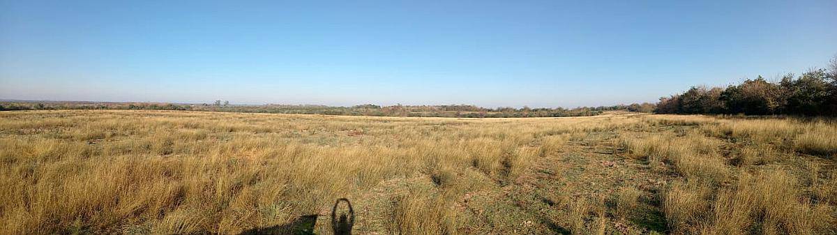 122 Ha Lucas Gonzalez. Superficie Agrícola
