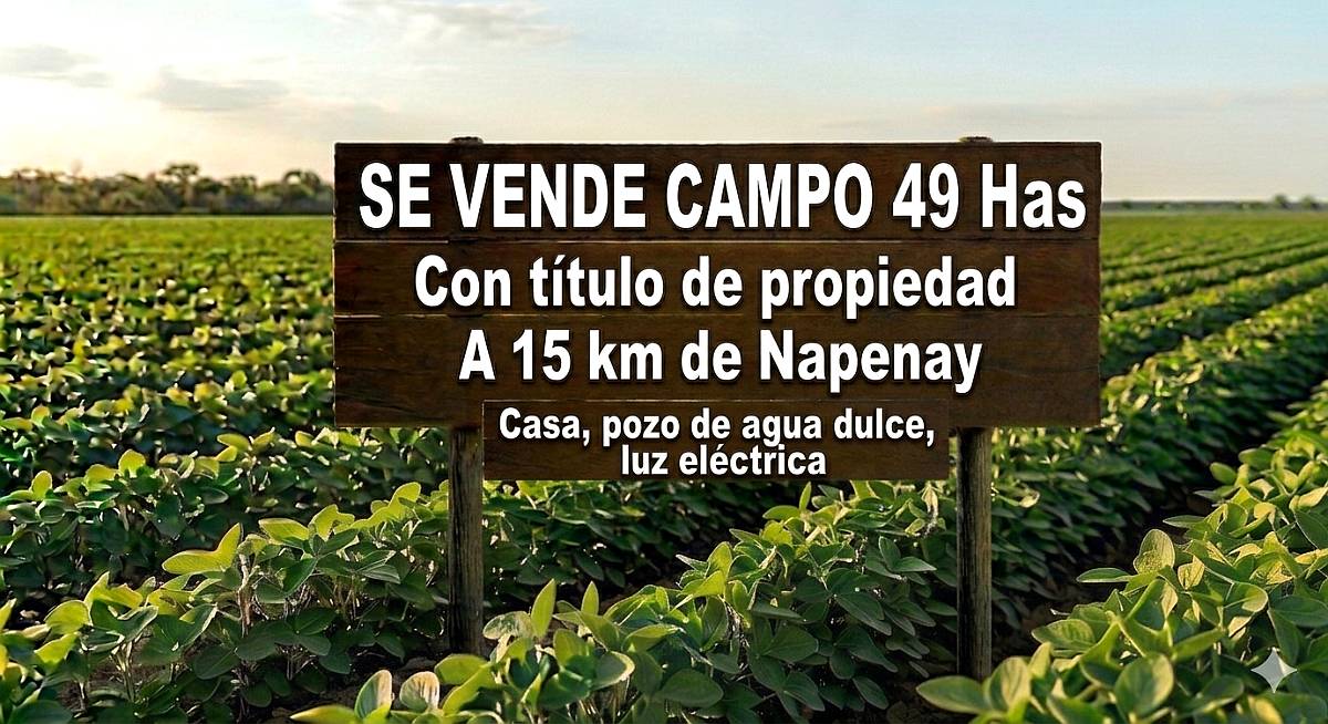 Campo en Venta 49 Has