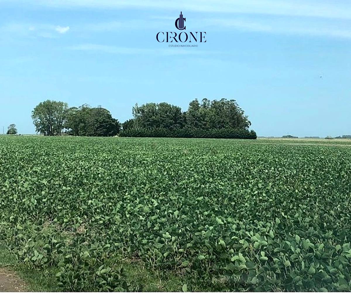 Campo - 103 Hectáreas - Agrícola - Mechongue - Sobre Ruta