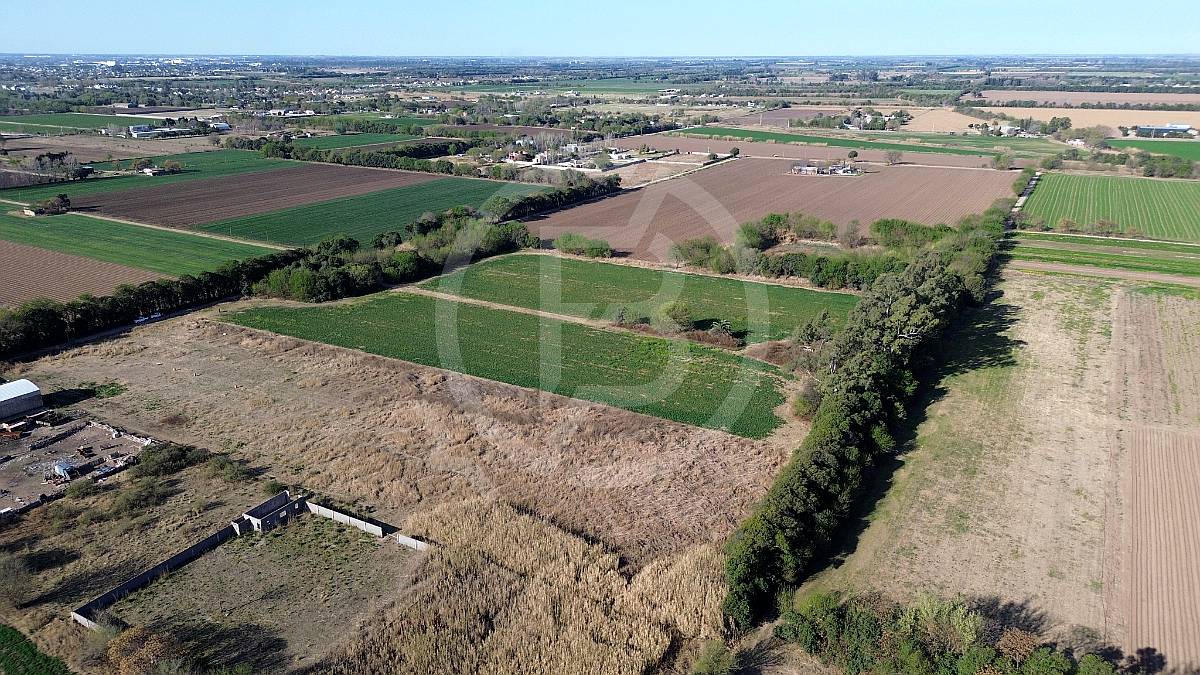Terreno 20.000 M2 en Córdoba- Camino a San Carlos
