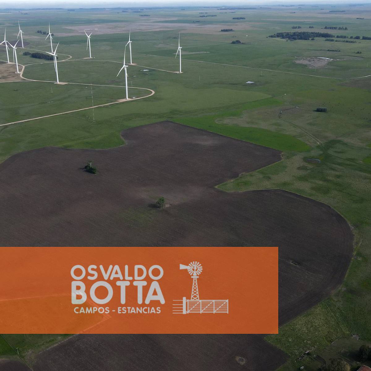 Campo Mixto en Venta 103 Has en Miramar, Buenos Aires
