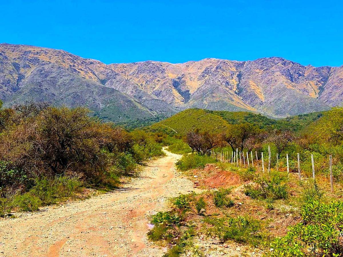 🏞️𝟑 𝐇𝐚𝐬 𝐓𝐫𝐚𝐬𝐥𝐚𝐬𝐢𝐞. 𝐋𝐨𝐦𝐚 𝐁𝐨𝐥𝐚 𝐂𝐛𝐚