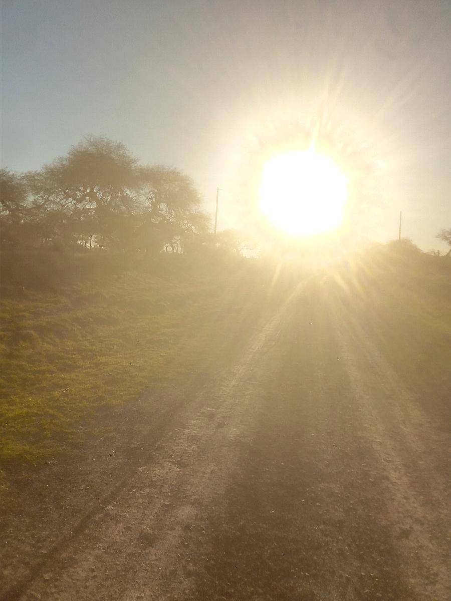 705 Has de Isla Gualeguay Entre Ríos