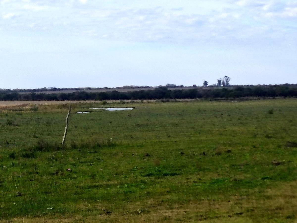 Vendo Campo Mixto Sobre Ruta