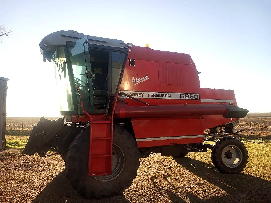 Cosechadora Massey Ferguson 5650, 2wd, Paton, 19 Píes, 2003