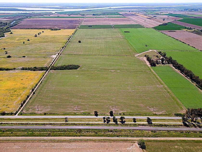 Campo 90 Has en Pavon, Santa FE 🌻🐄☘️