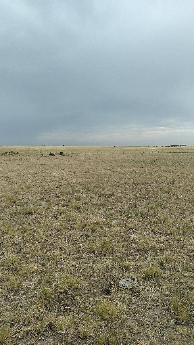 Vendo 400 Has Partido Villarino Norte