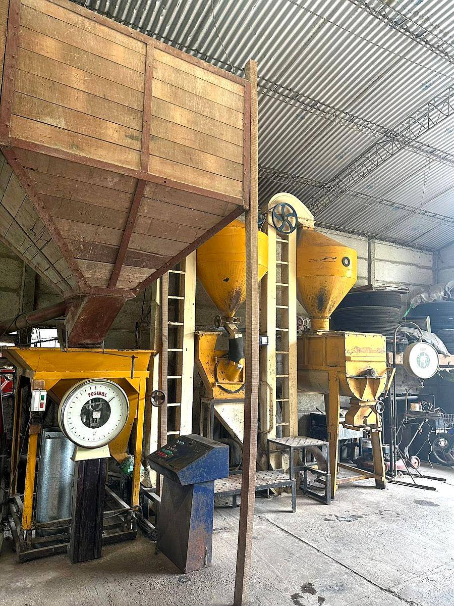 Planta para Alimento Balanceado