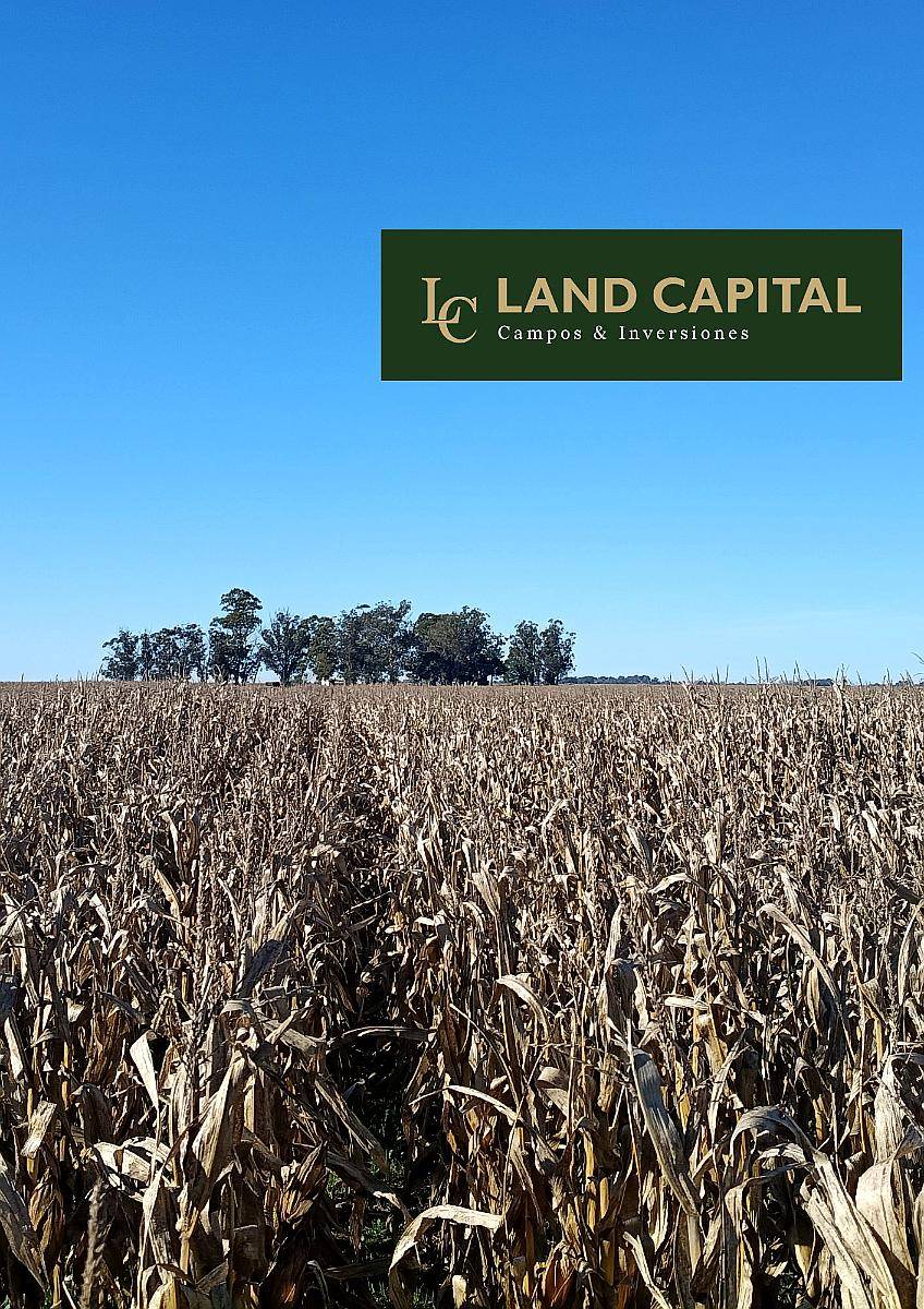 207 Ha Agricola Ganadero-vivorata