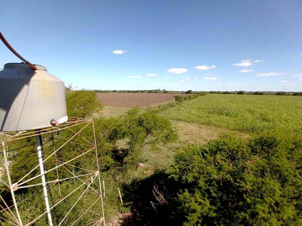 56 Hectáreas Sobre Autopista, Gualeguaychú.