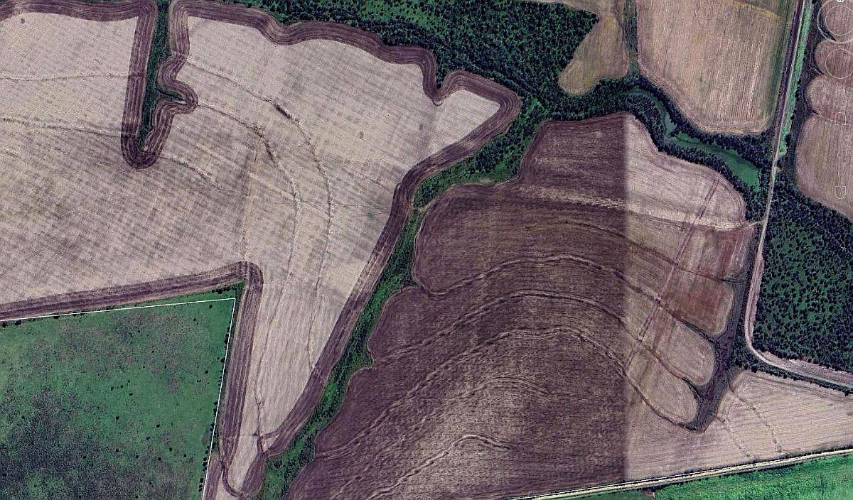 Villa Elisa Entre Rios Campo Agricola y Ganadero