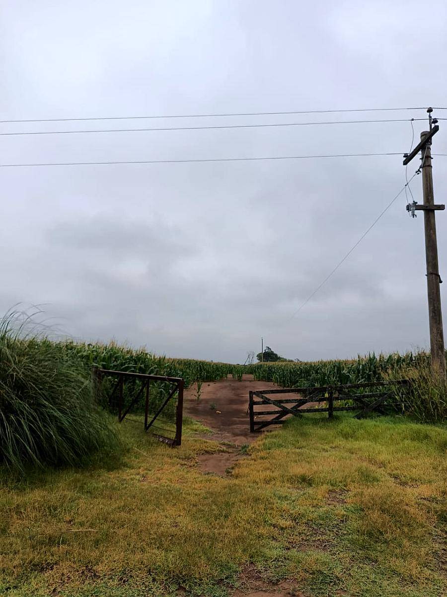 Campo en Venado Tuerto