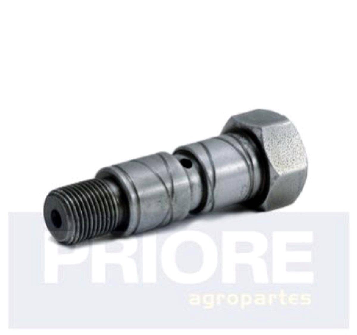 Eje de Rueda Control Prof. 223158 - Bertini
