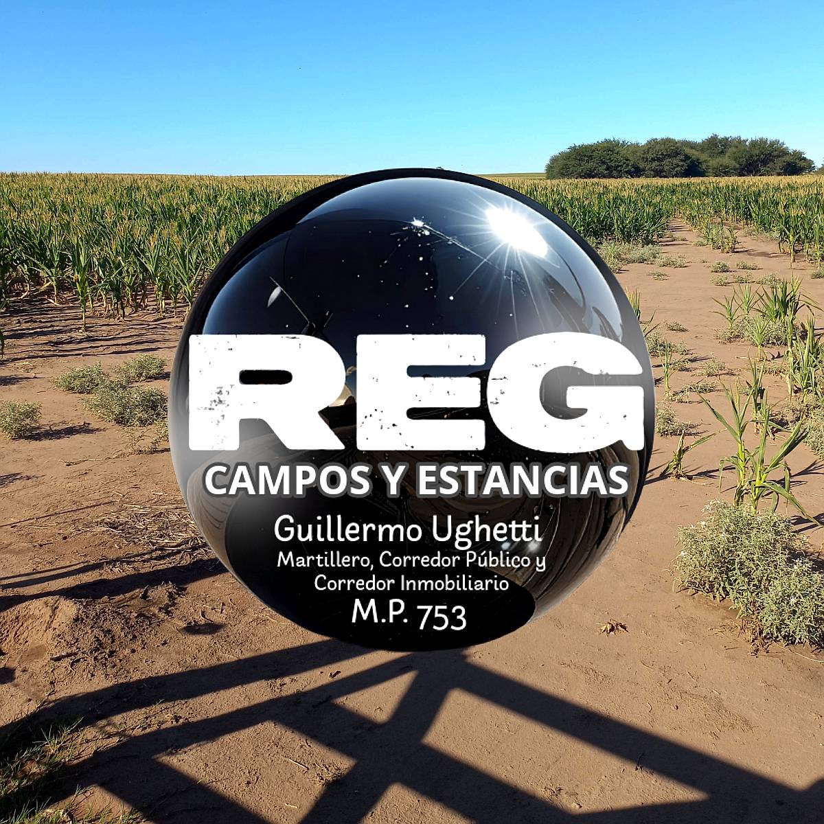 300 Has - General Pico, L.p.