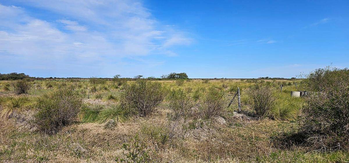 2500ha Mixtas Armadas en Intiyaco, Santa FE