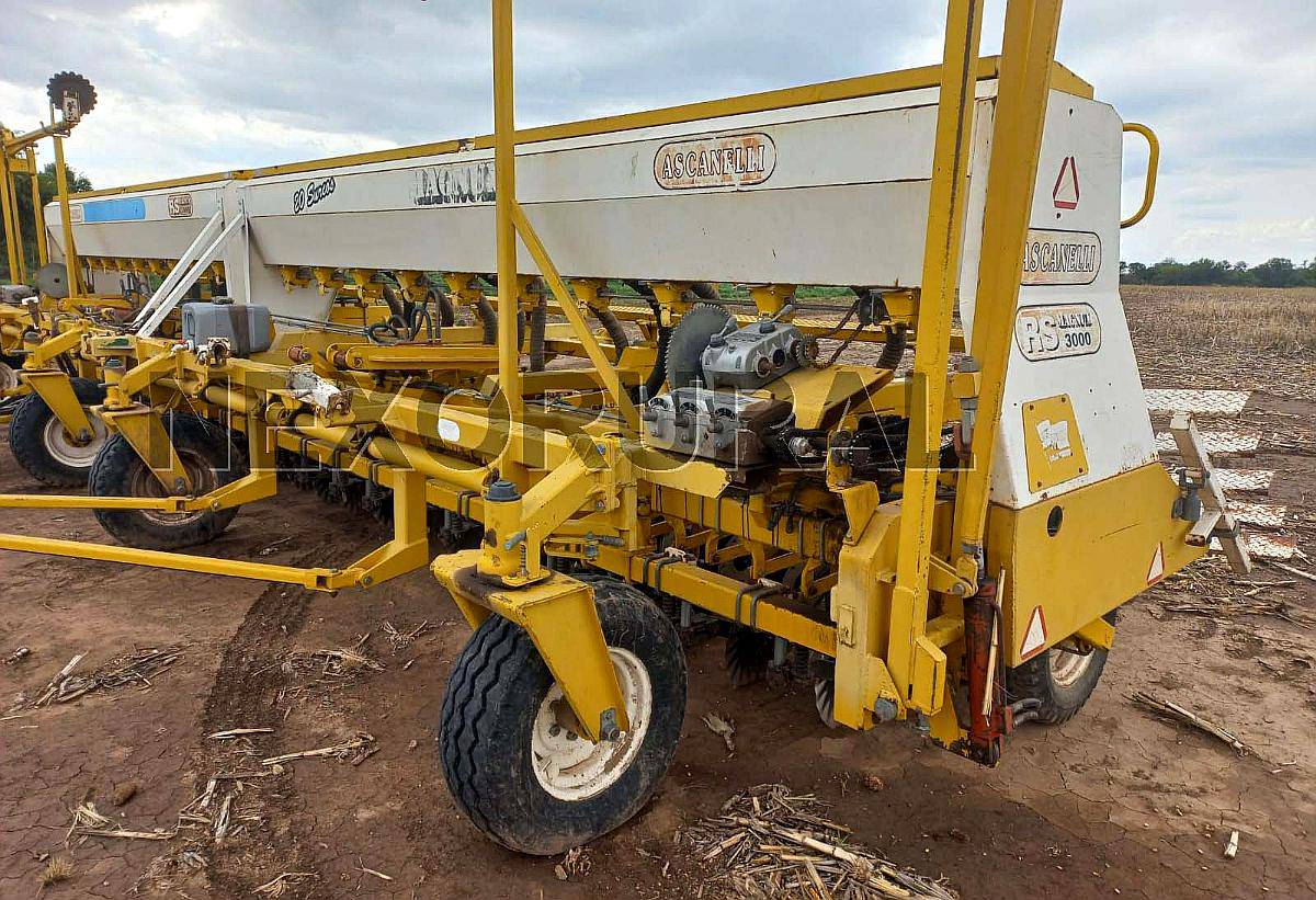 Ascanelli RS 3000 año 2003 24/42 Placa Fertilización Simple