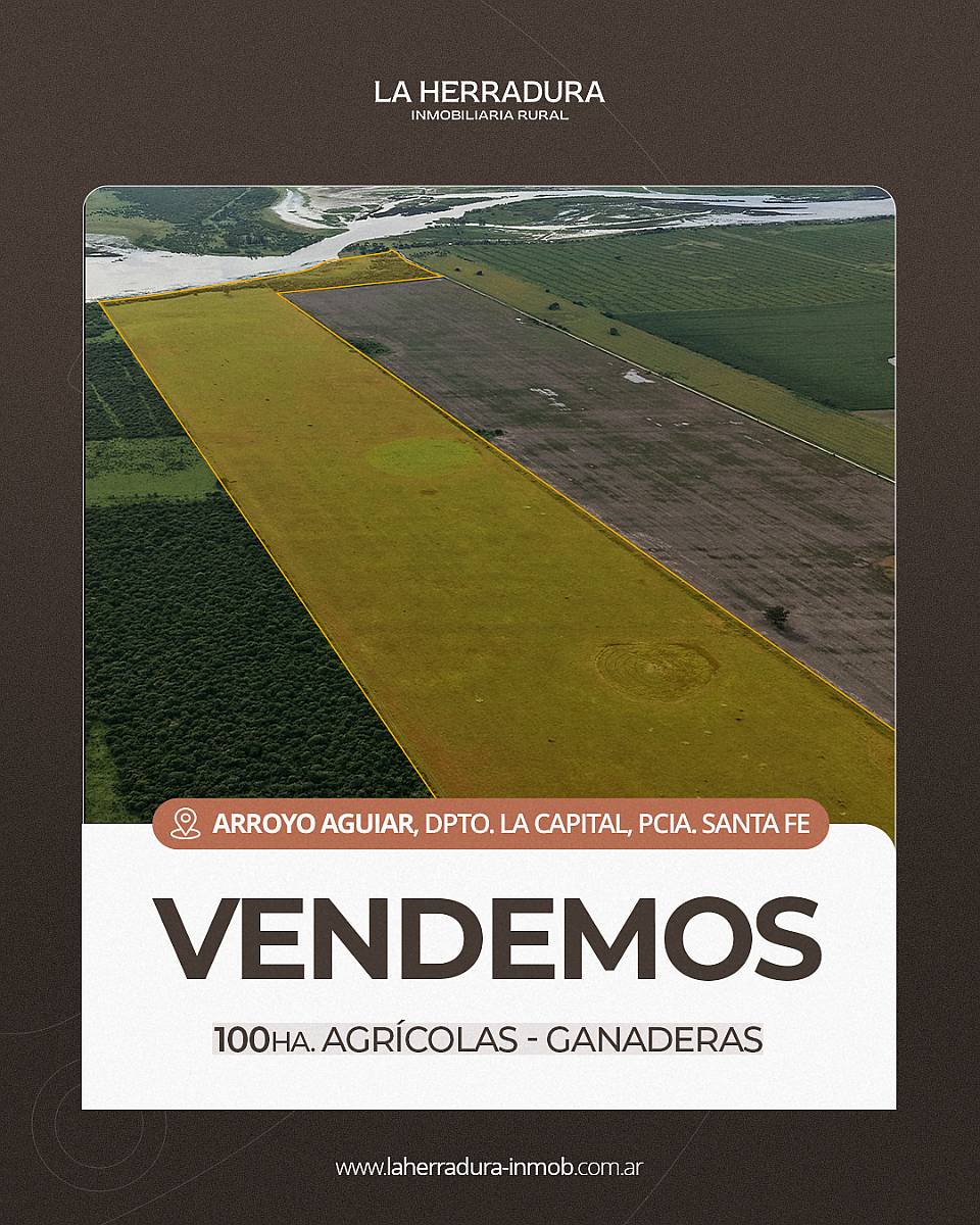 Arroyo Aguiar 100 Has Agrícolas/ Turismo. Campo en Venta