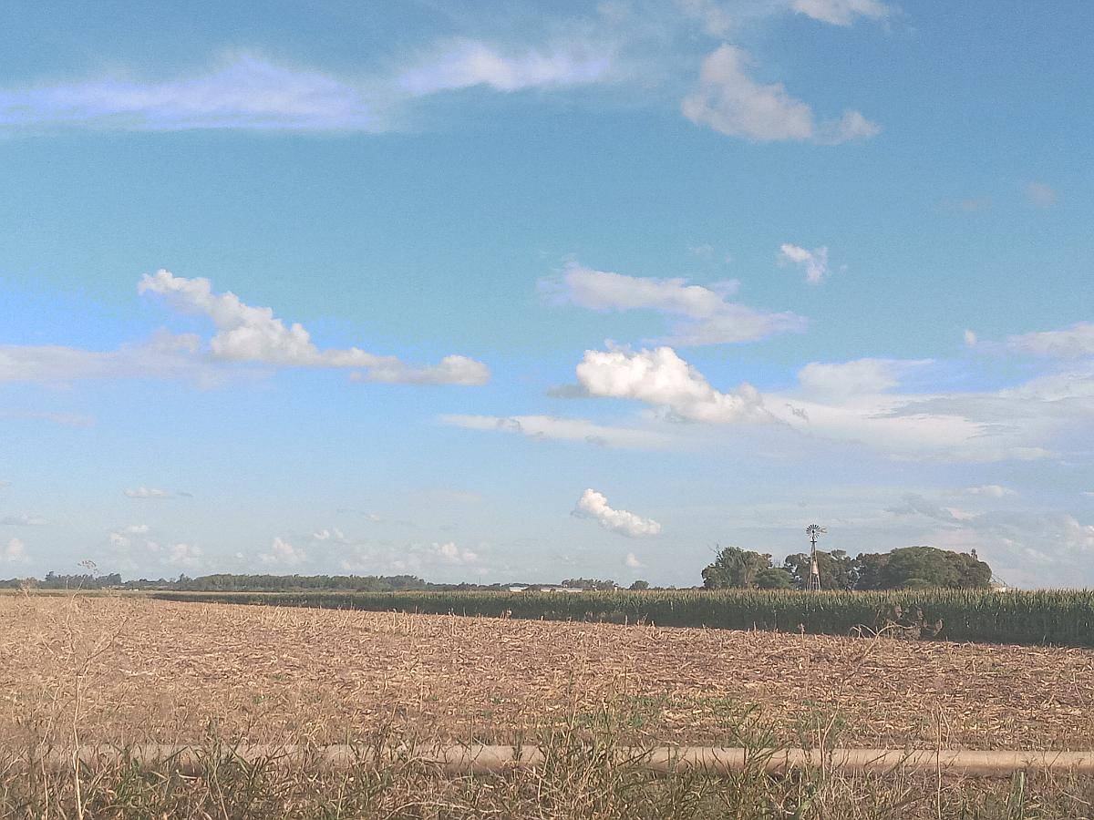 Fighiera Santa FE, 35 Has. Agrícolas