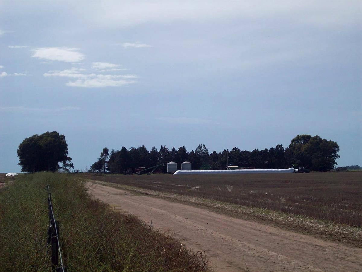 Campo Agrícola, Sobre Acuífero Dulce, Puan Prov BS AS