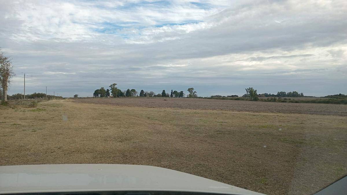 112 Ha Don Cristobal. 80 Ha Agrícolas