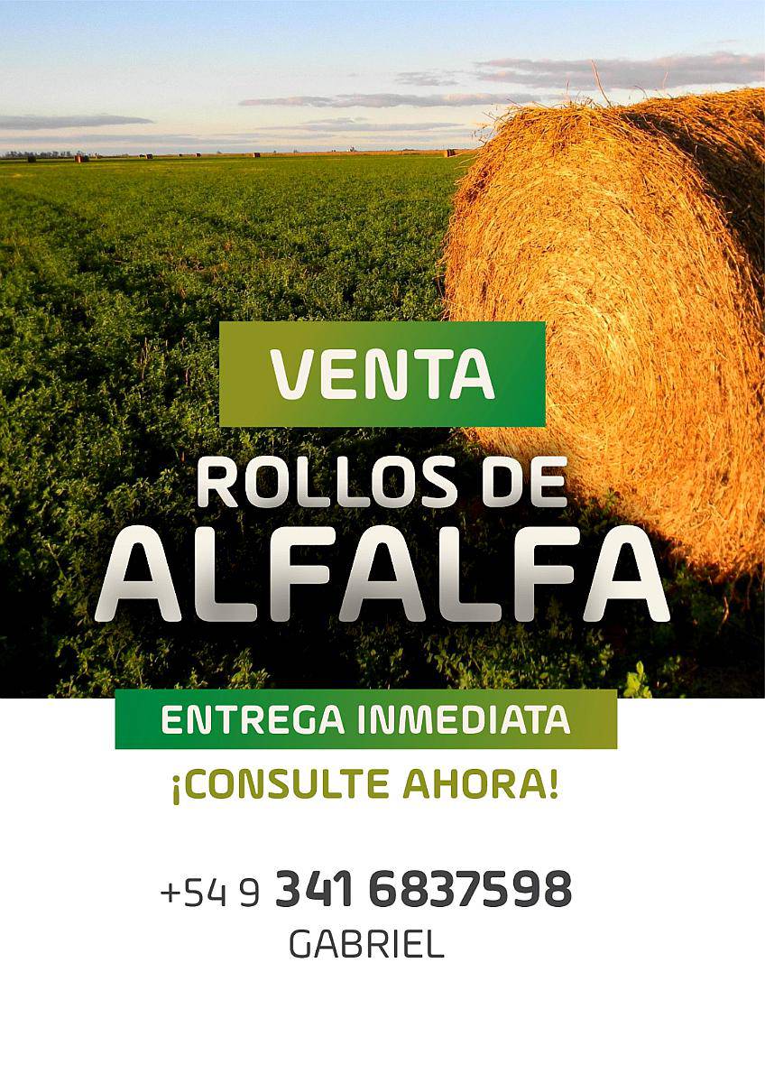 Venta Rollos Alfalfa Pura