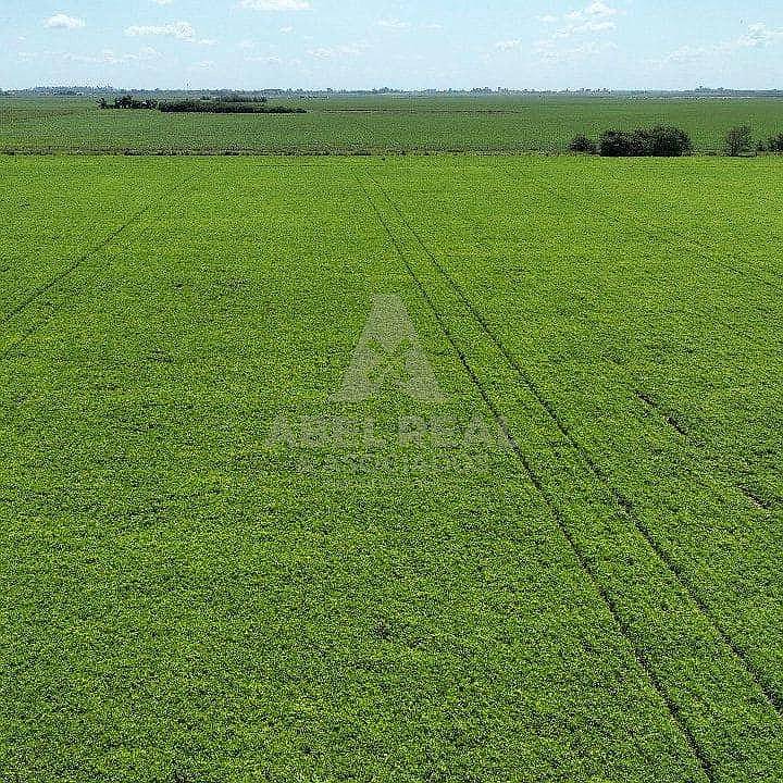 130 Ha San Gregorio, Santa FE