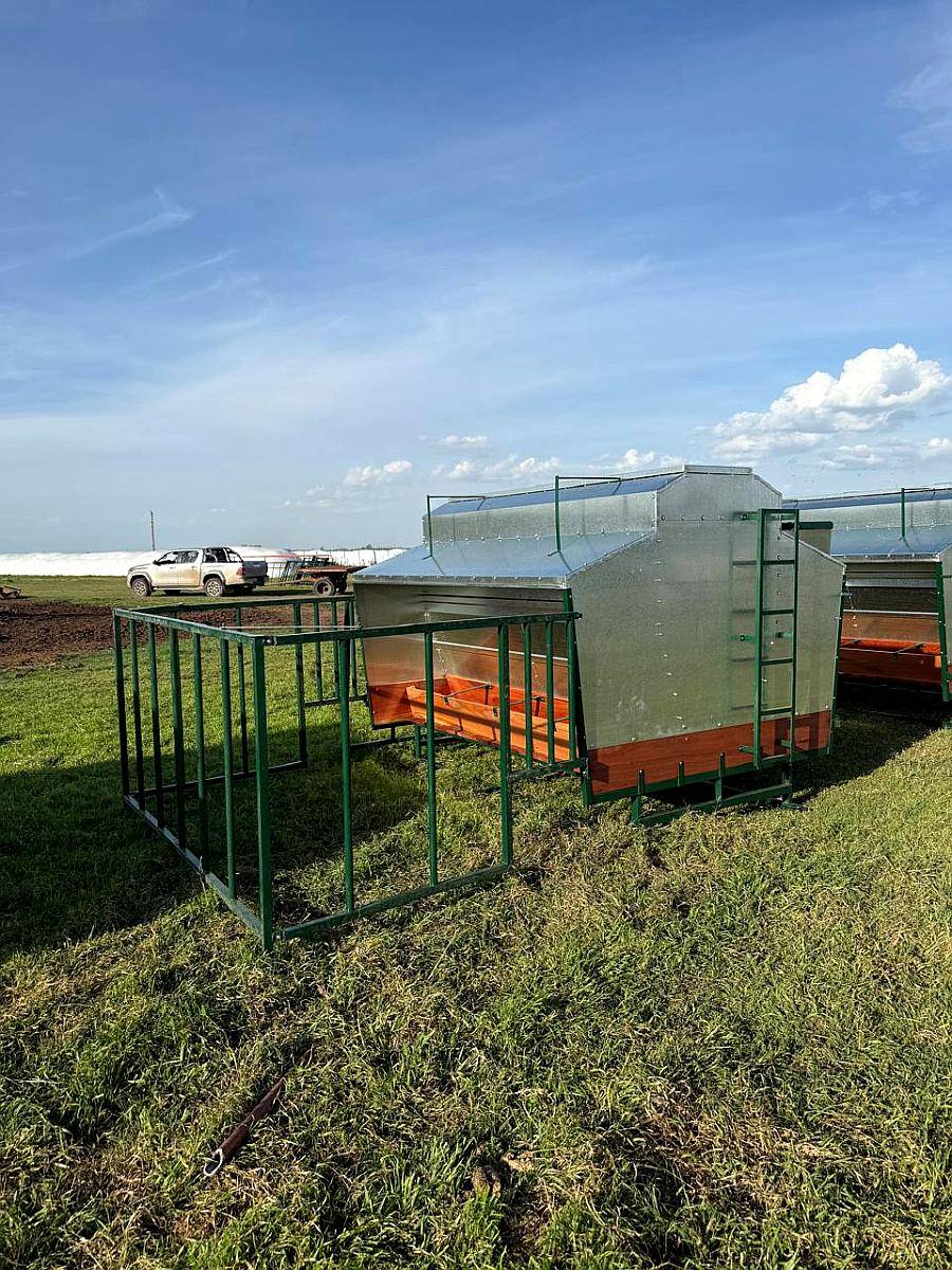 Comederos Creep Feeding con Rejas