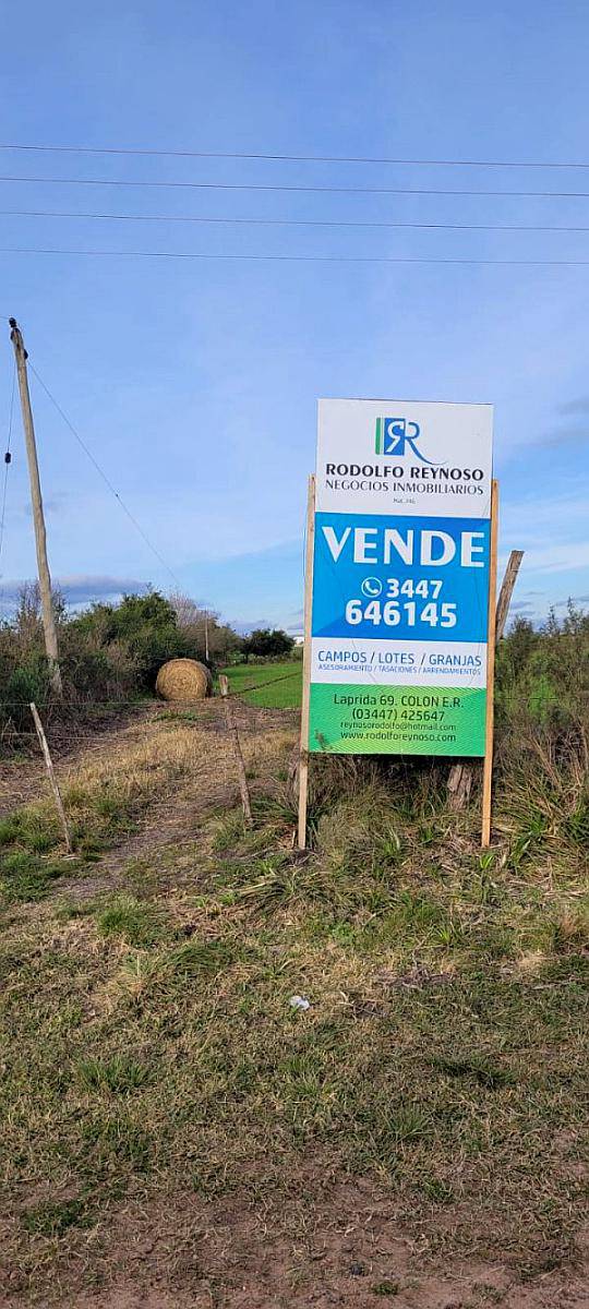 4 HA. en San Anselmo