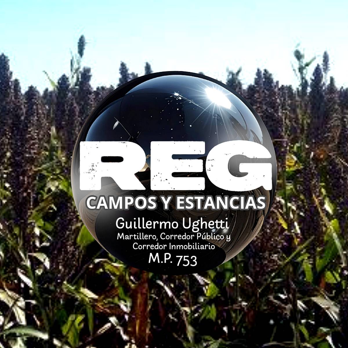 900 Has - Bordenave, BS AS