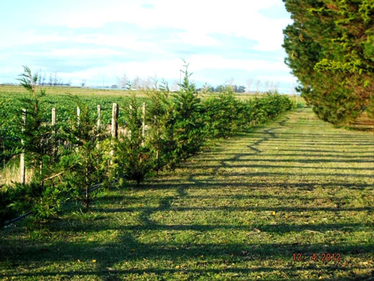 Vendo Campo Ruta 88