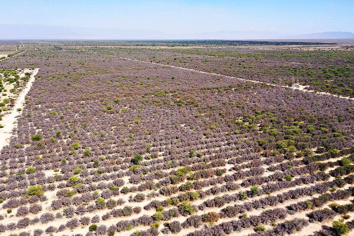 Aimogasta, Arauco, la Rioja, Argentina