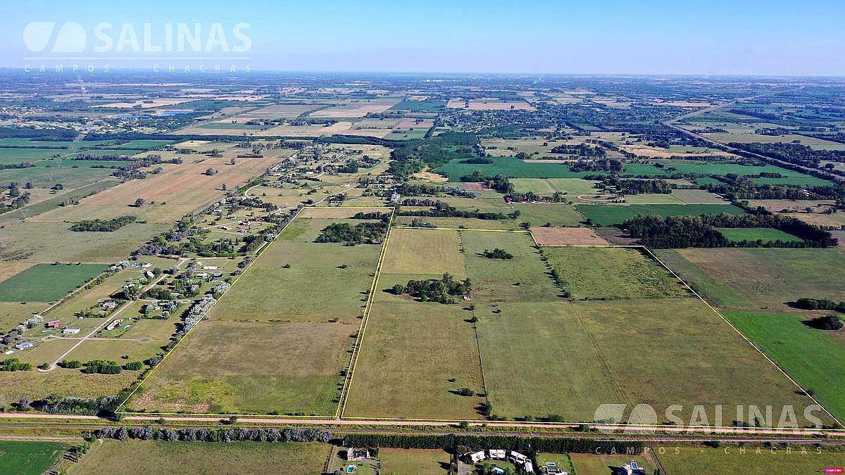 Campo Entre Manzanares y Open Door 83 Ha