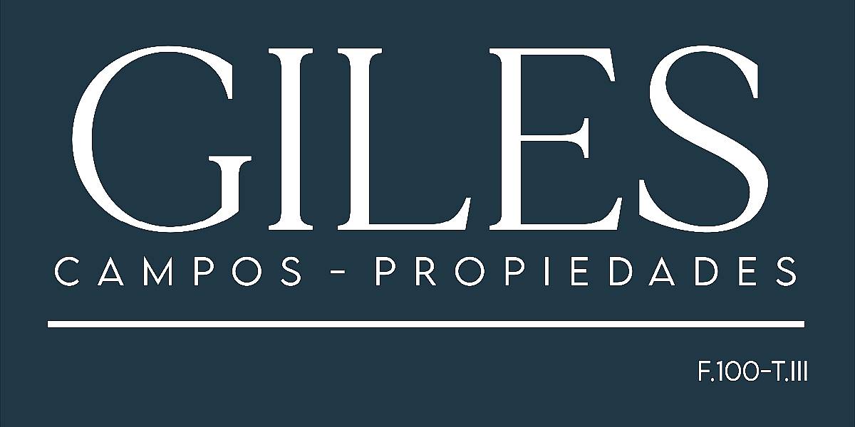 1038 Hectáreas Pergamino Buenos Aires