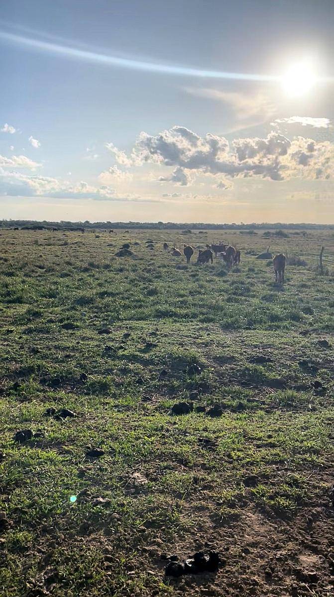 Se Arrienda Campo Mixto en Corrientes