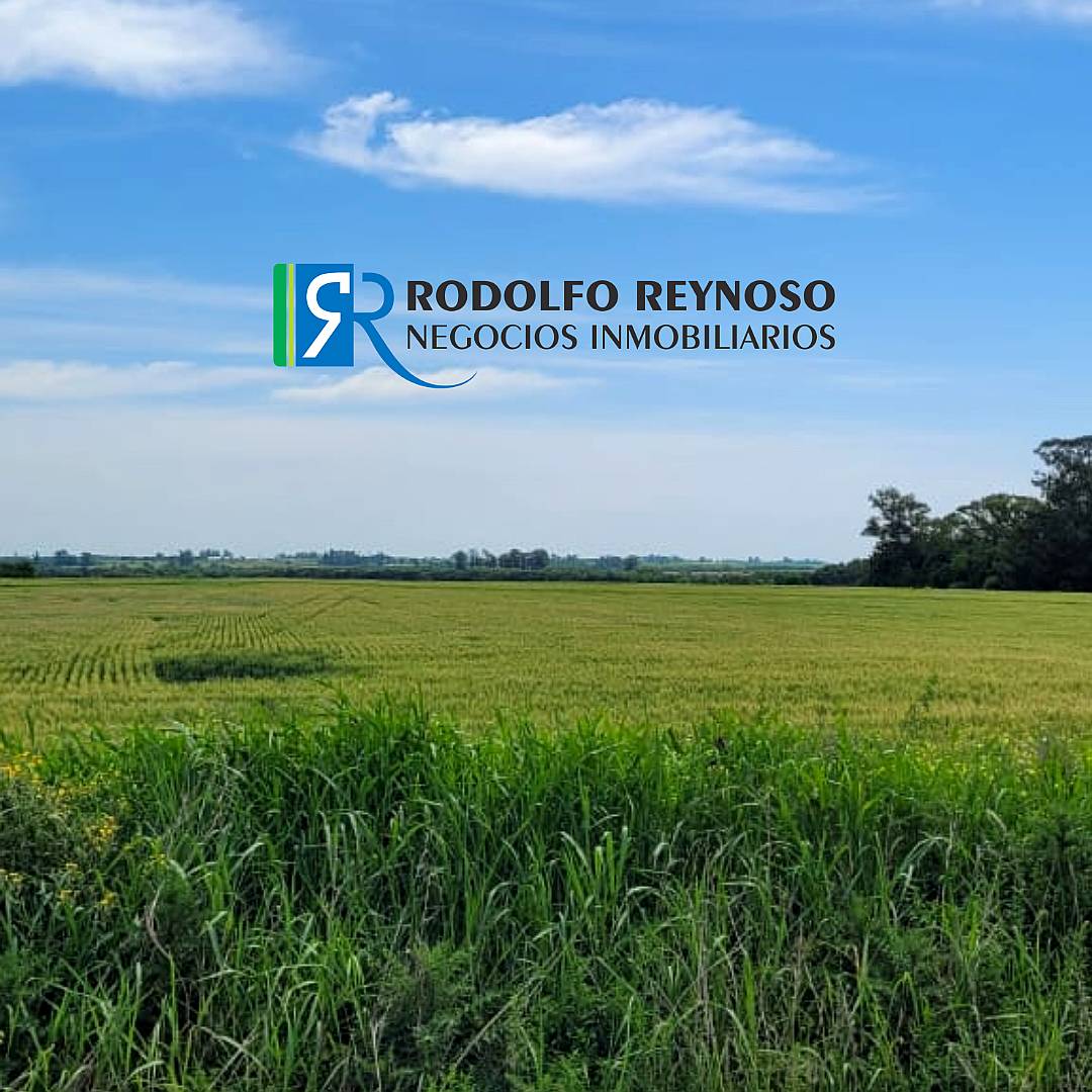 Campo en Entre Ríos - Colonia Elía