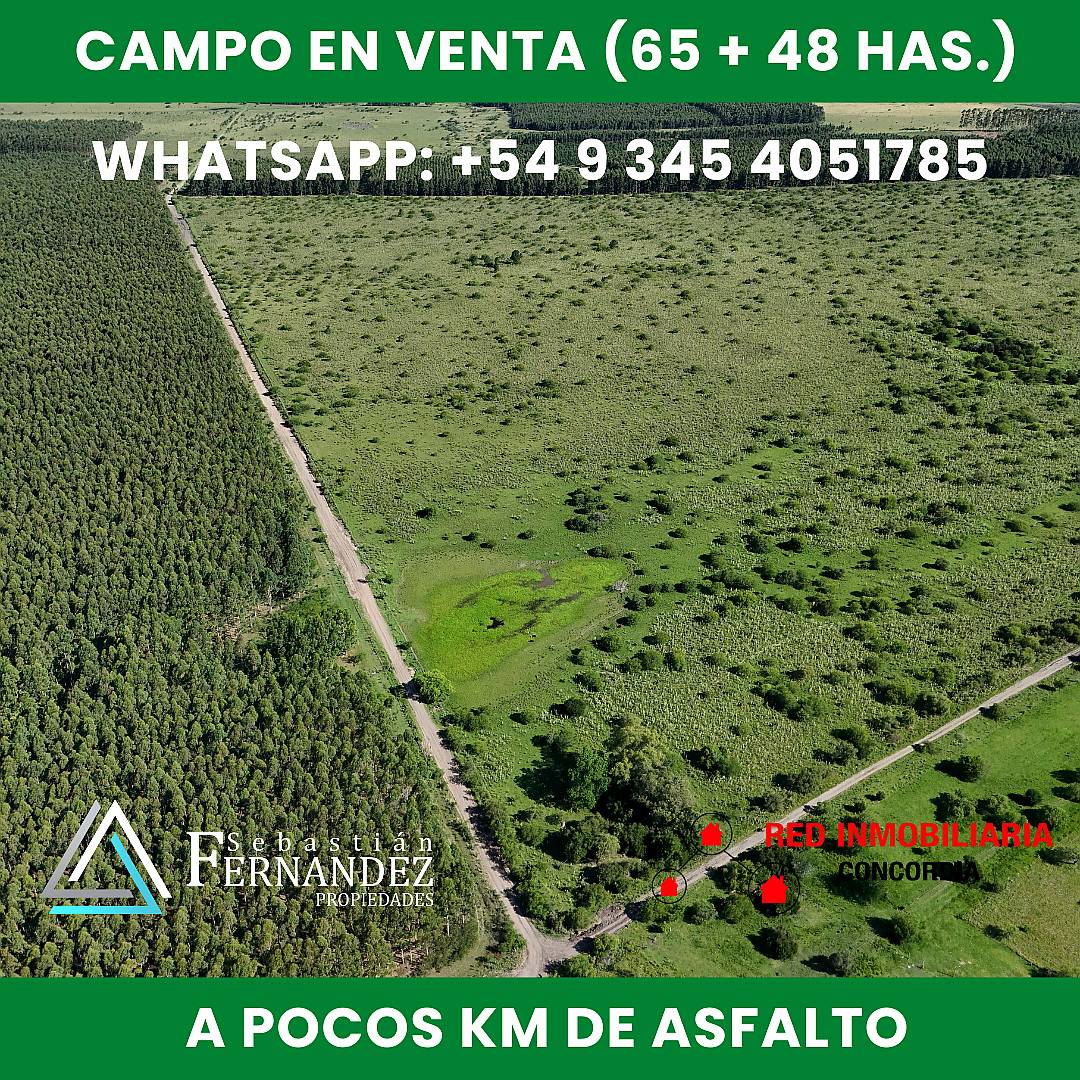 65 + 48 Has. Zona Forestal