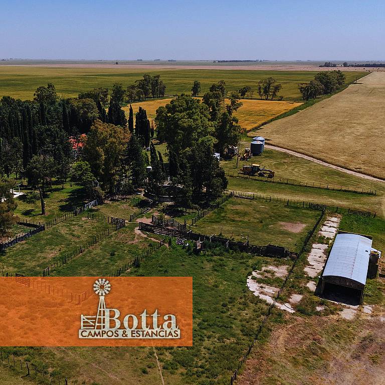 627has en Venta en Alpachiri, la Pampa. Campo Agricola