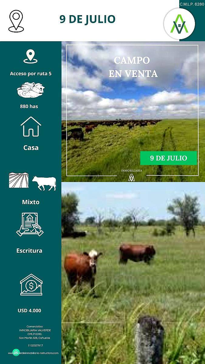 Campo 9 de Julio 880 Has