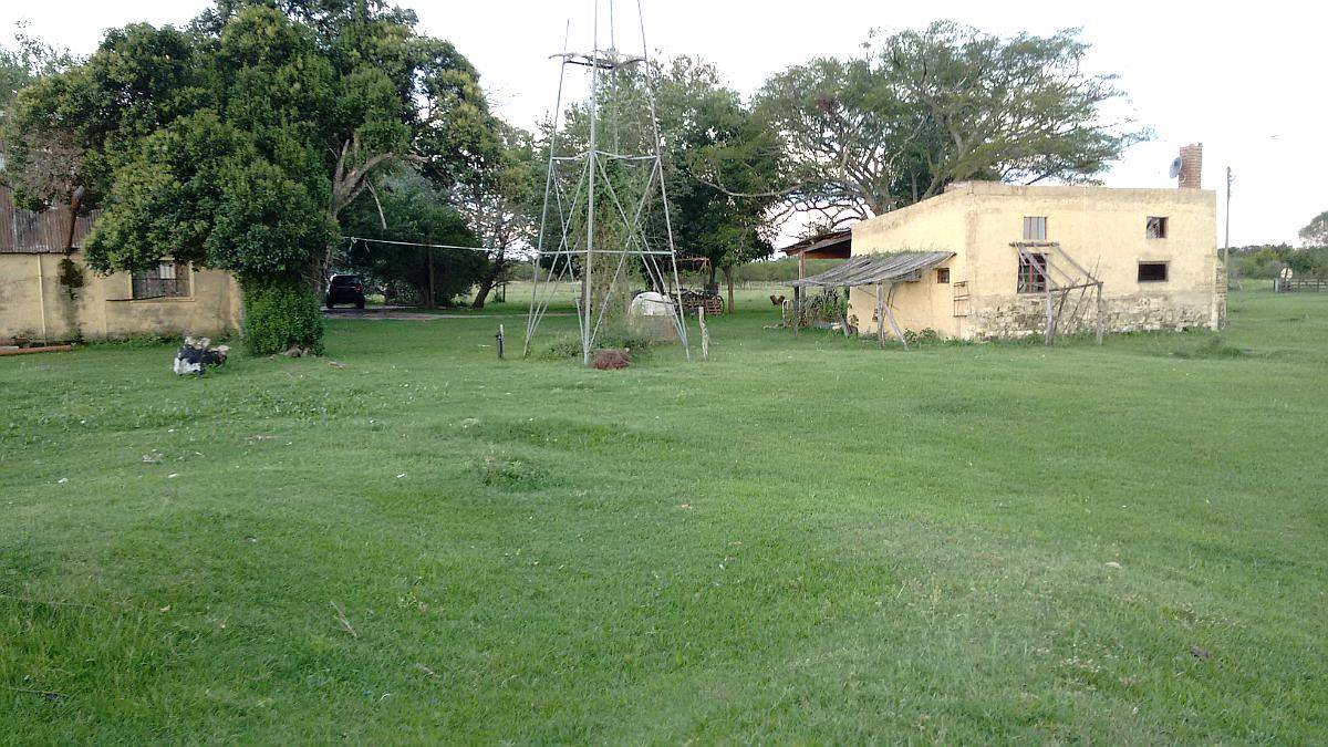 Arriendo 135 Has de Monte Natural Sobre Asfalto
