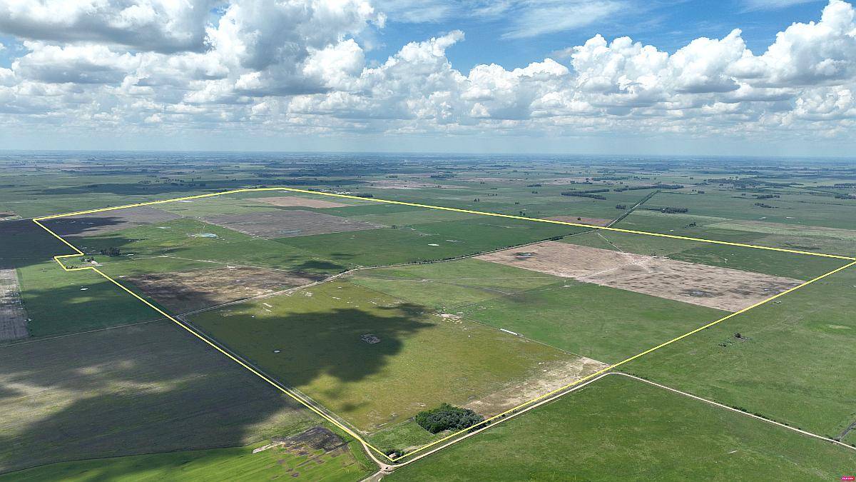 1380 Has. Campo Mixto S/ Ruta 7 en San Andres de Giles