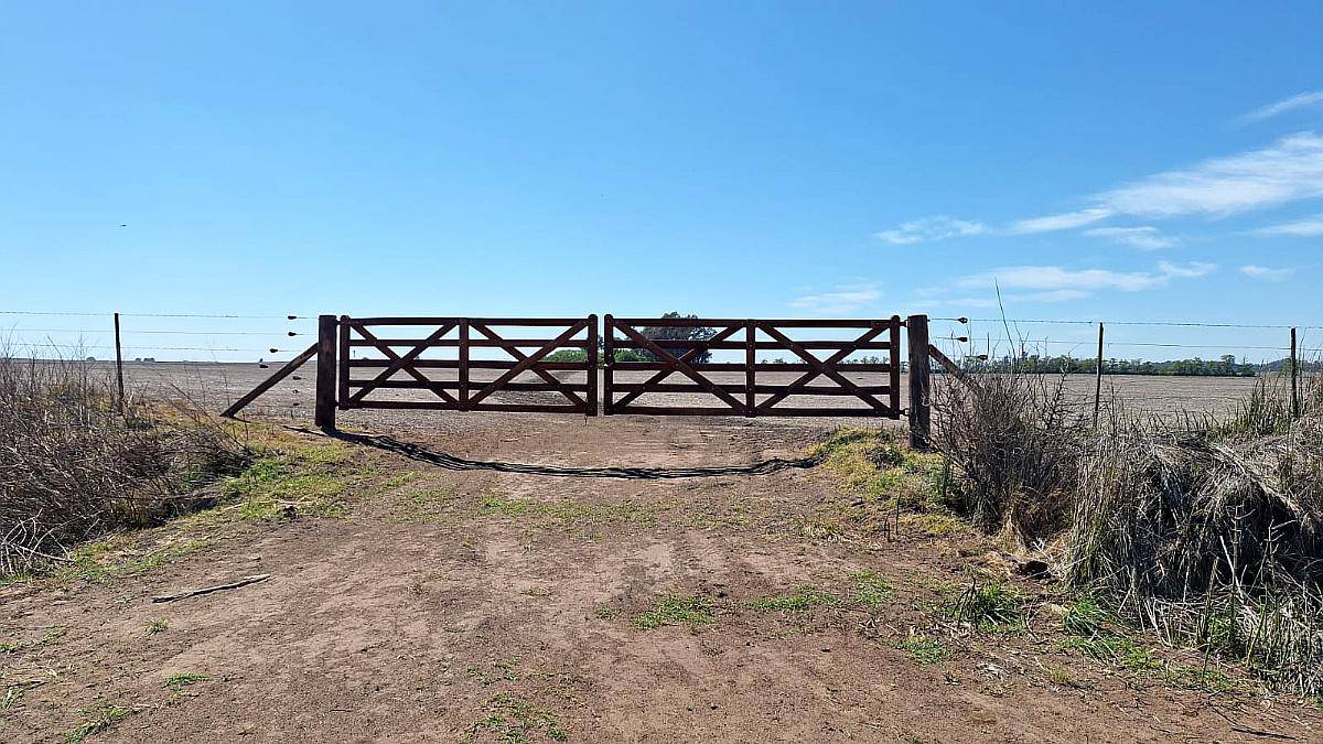 200 Hectáreas Mixtas. Sobre Autopista.
